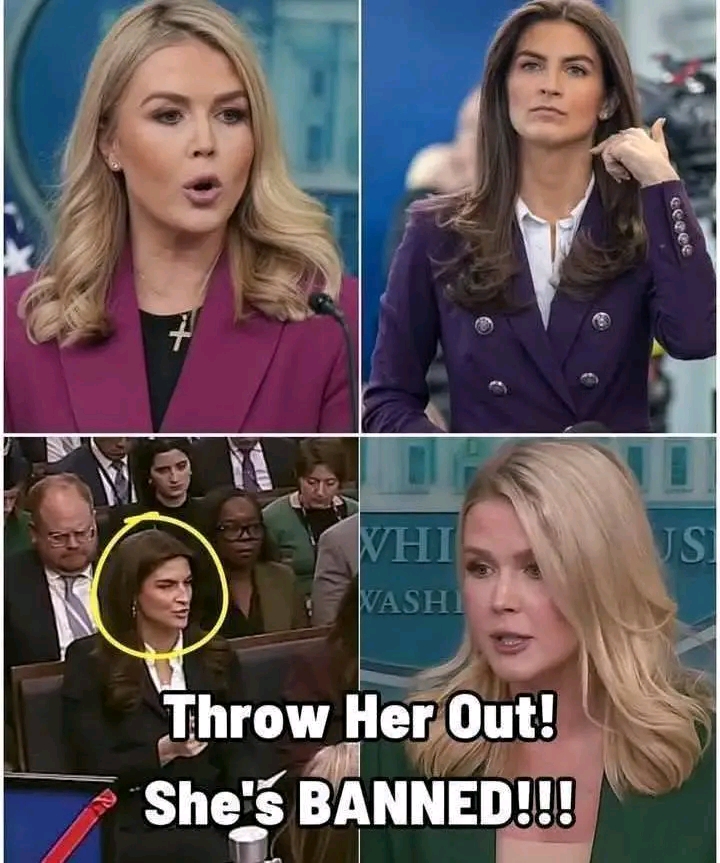 Breaking: Karoline Leavitt BANS CNN’s Kaitlan Collins from Press Brief after STUPID Question It was supposed to be just another press briefing. ”Not Taking Your Follow-up”. See More